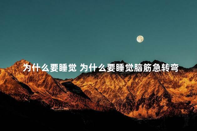 为什么要睡觉 为什么要睡觉脑筋急转弯